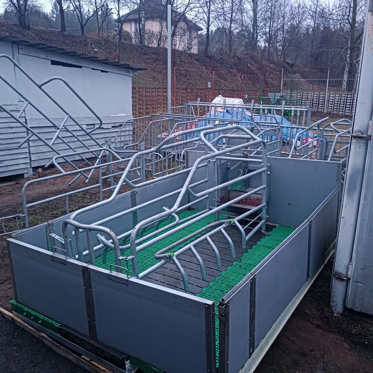 -1x-1xHQ_1771236087025 (1)